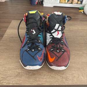 Nike LeBron 12 SE What The Size 11.5